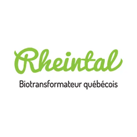 logo rheintal